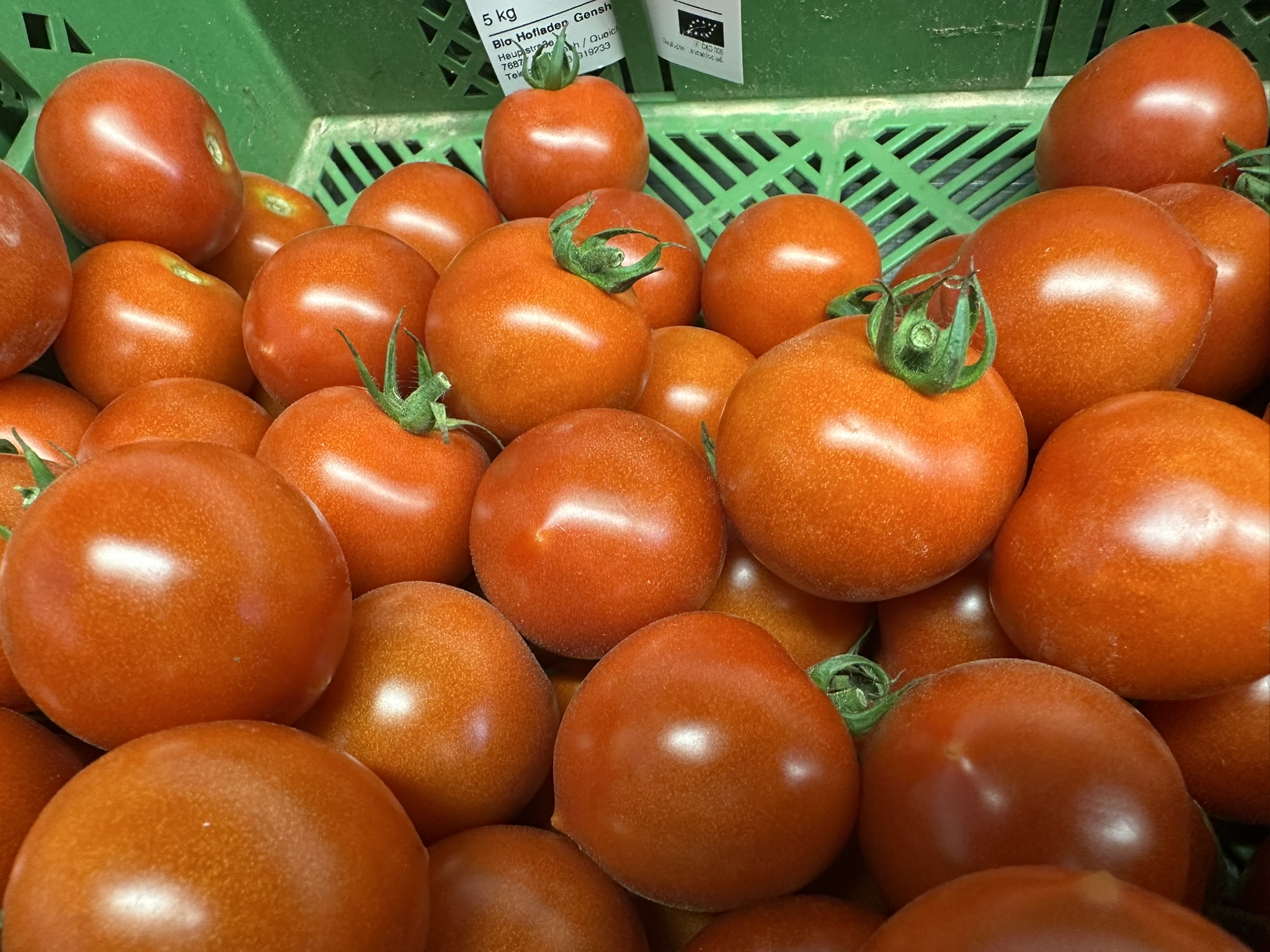 Regional, knackfrisch & ökologisch