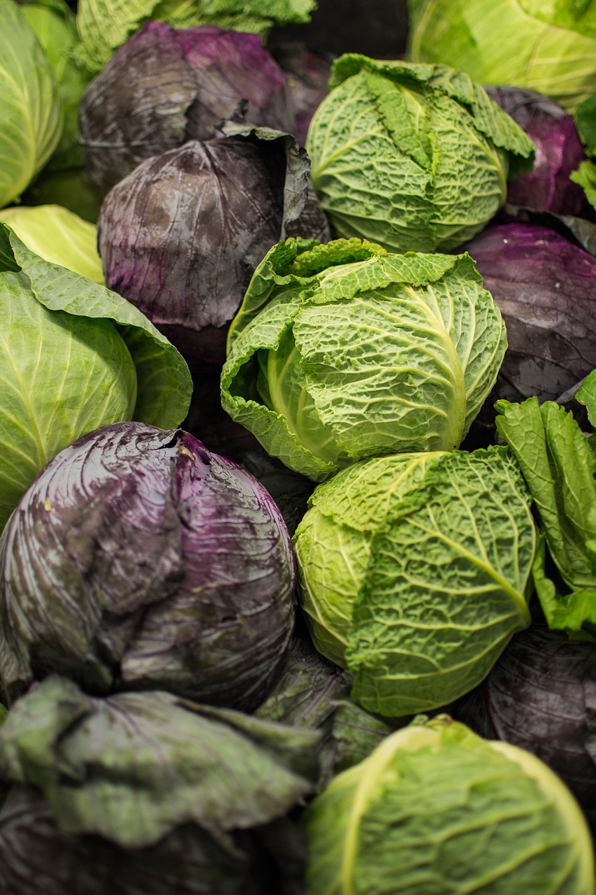 Kartoffelecken mit Schwarzkohl