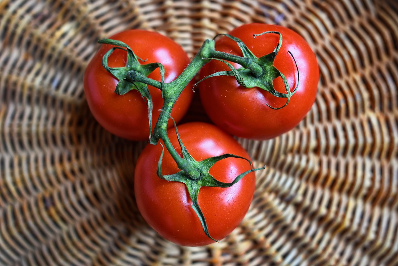 Tomaten