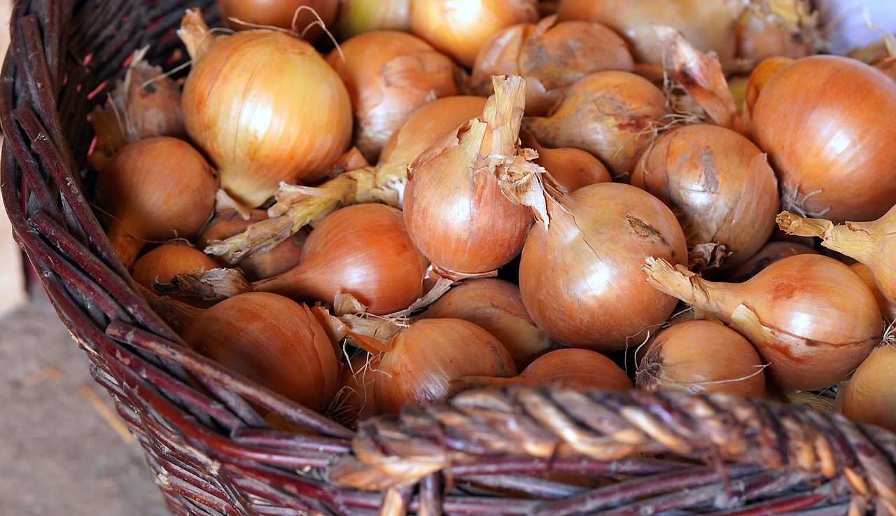 Zwiebeln